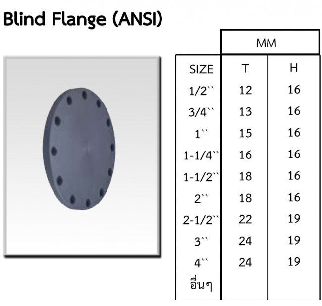 Blind Flange หน้าแปลนบอด CPVC รหัสสินค้า CPVC012